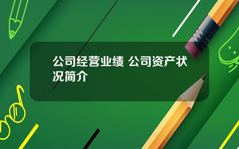 公司经营业绩 公司资产状况简介